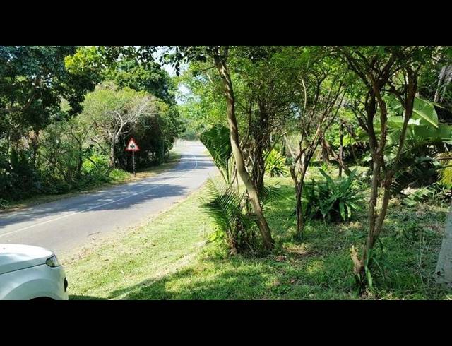 LAND FOR SALE IN PALM BEACH